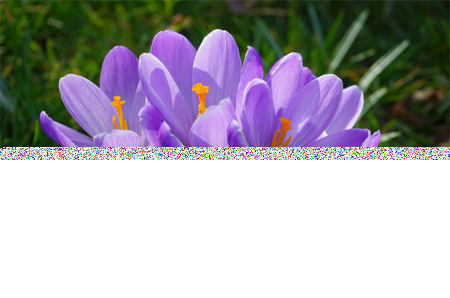 5.png