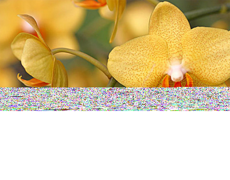 3333.png