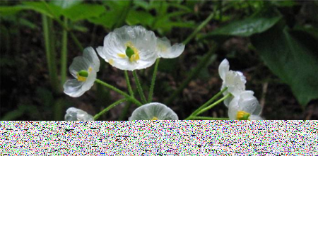 22.png