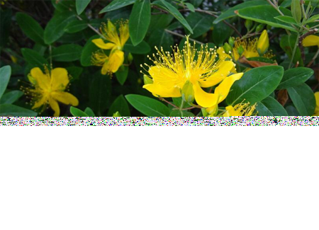 11.png