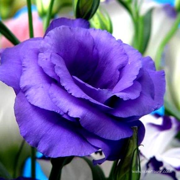 /uploads/image/2021/10/09/137e41ae6410e6238bb77edc6cadd958.jpg