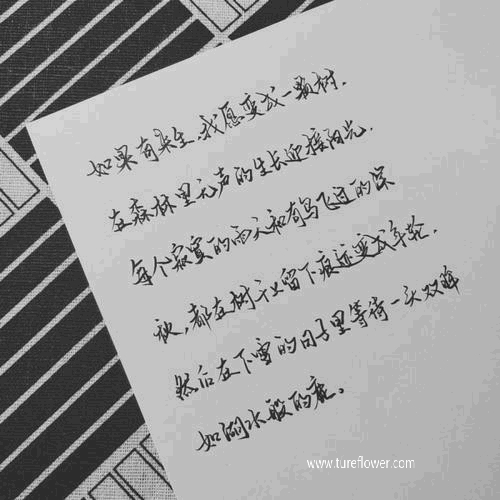 /uploads/image/2021/06/16/2035b7e0e438a071658052025cae3440.jpg