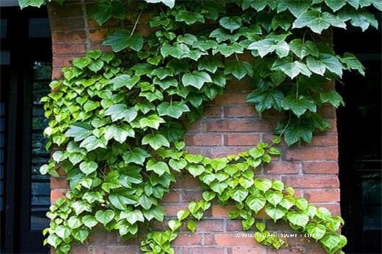 /uploads/image/2022/01/06/2d839f7e5dcaa63b10e8ea6f8a584a99.jpg
