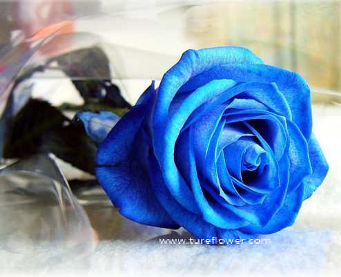 /uploads/image/2021/04/08/2e83ca6bb6b43936aaf54d42cba4af2a.png