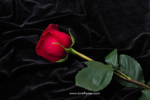 /uploads/image/2021/05/10/4c6a2b8579016a36f9956b16579199f8.jpg