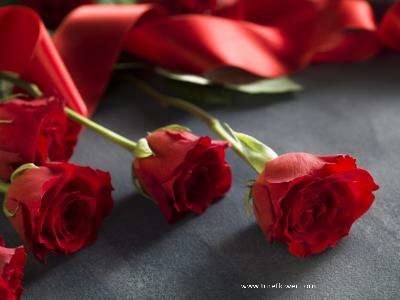 /uploads/image/2022/03/11/6214af69f9e68ebd76fb6e8745fec69d.jpg