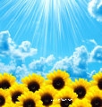 /uploads/image/2021/09/24/c6691face278eac9b687b7eae45ce474.jpg