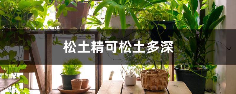松土精可松土多深