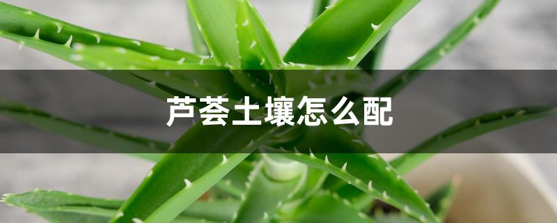 芦荟土壤怎么配
