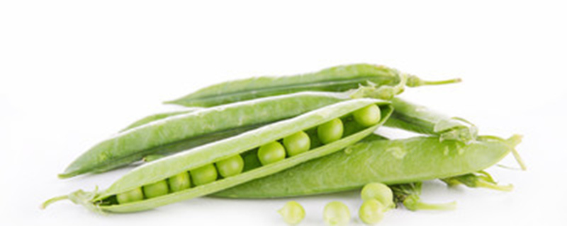 麦豆是豌豆吗