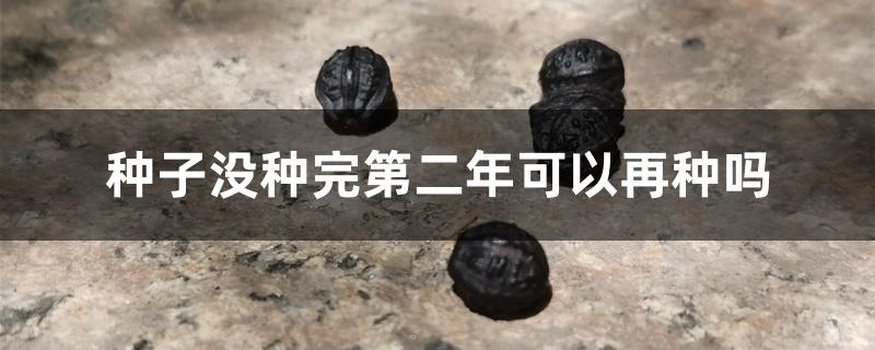 种子没种完第二年可以再种吗