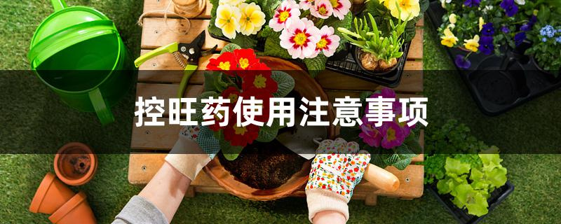 控旺药使用注意事项