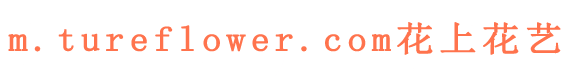tureflower.com,logo