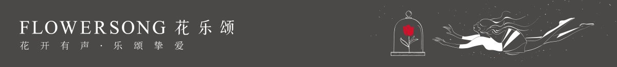 永生花banner
